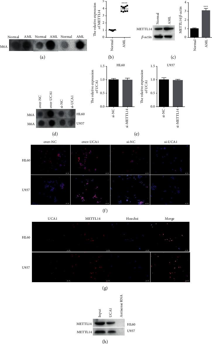 https://cdn.ncbi.nlm.nih.gov/pmc/blobs/ebdc/8847036/1fb6c1e13d80/JO2022-2756986.003.jpg