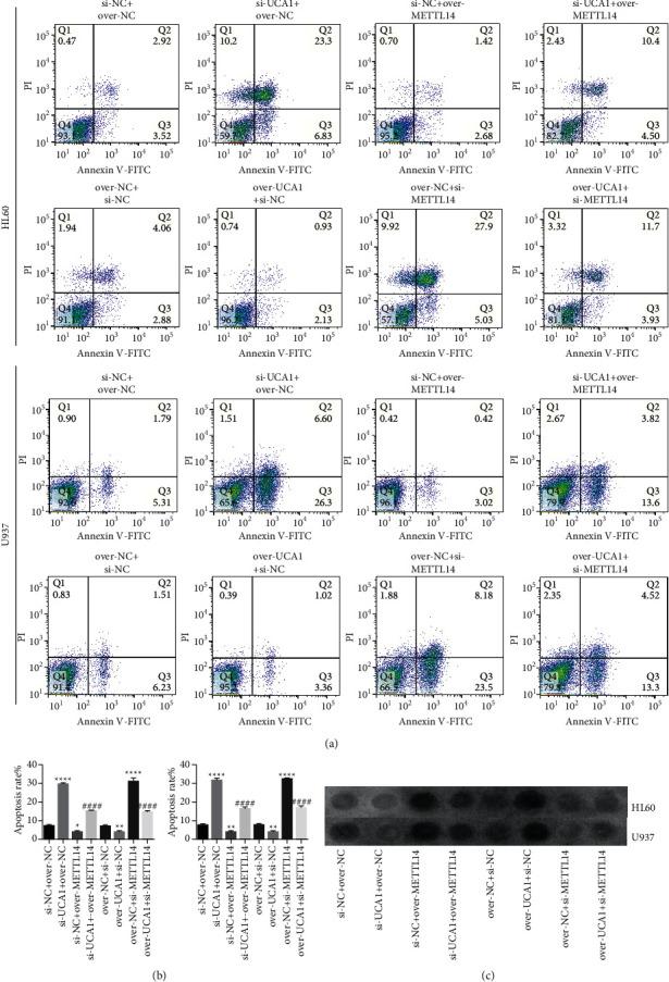 https://cdn.ncbi.nlm.nih.gov/pmc/blobs/ebdc/8847036/3f76a9c9aba3/JO2022-2756986.005.jpg