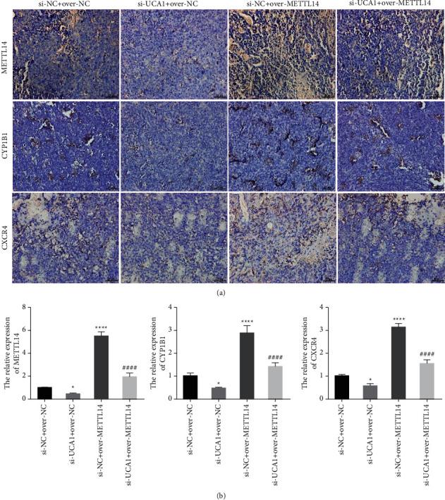 https://cdn.ncbi.nlm.nih.gov/pmc/blobs/ebdc/8847036/629c66451fc3/JO2022-2756986.008.jpg