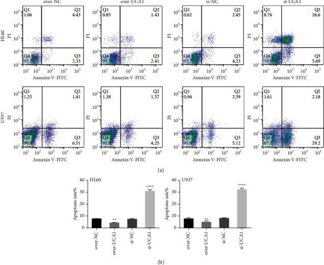 https://cdn.ncbi.nlm.nih.gov/pmc/blobs/ebdc/8847036/eb02451ff618/JO2022-2756986.002.jpg