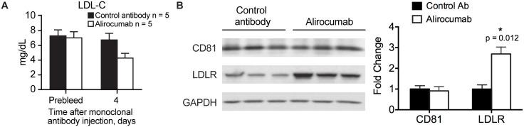 https://cdn.ncbi.nlm.nih.gov/pmc/blobs/ebdd/4845998/2f228e9cd2c1/pone.0154498.g004.jpg