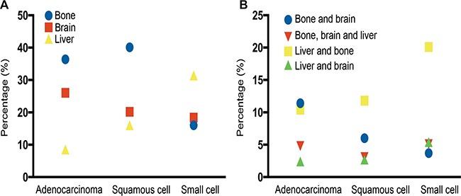 https://cdn.ncbi.nlm.nih.gov/pmc/blobs/ebe0/5288182/f85e5570a91b/oncotarget-07-53245-g001.jpg