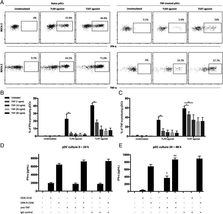 https://cdn.ncbi.nlm.nih.gov/pmc/blobs/ebe0/7851743/a889f3ba8eab/ji1901358f2.jpg