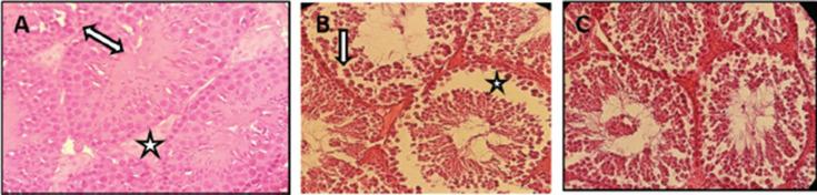https://cdn.ncbi.nlm.nih.gov/pmc/blobs/ebe0/9109838/550d209e5d84/OpenVetJ-12-165-g002.jpg