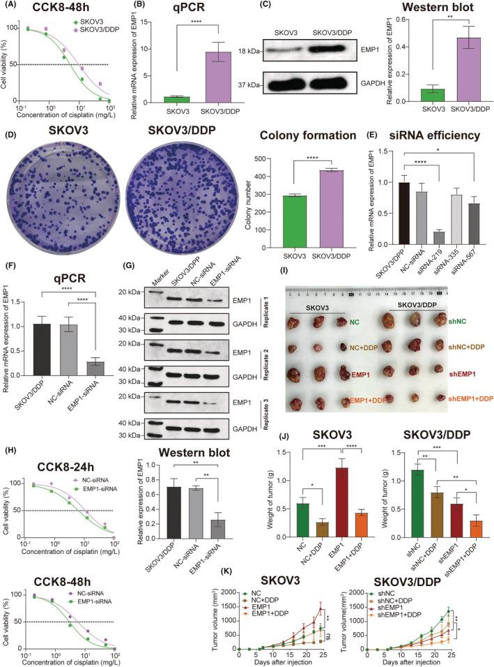 https://cdn.ncbi.nlm.nih.gov/pmc/blobs/ebe2/10134351/8391d1a33c4f/CAM4-12-9024-g008.jpg