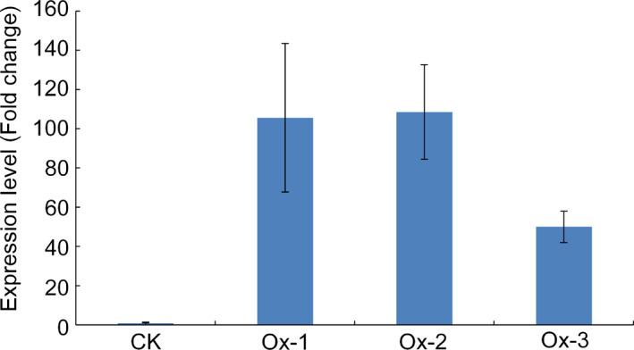 https://cdn.ncbi.nlm.nih.gov/pmc/blobs/ebe2/11388999/5f66512be06f/PBI-15-1141-g001.jpg