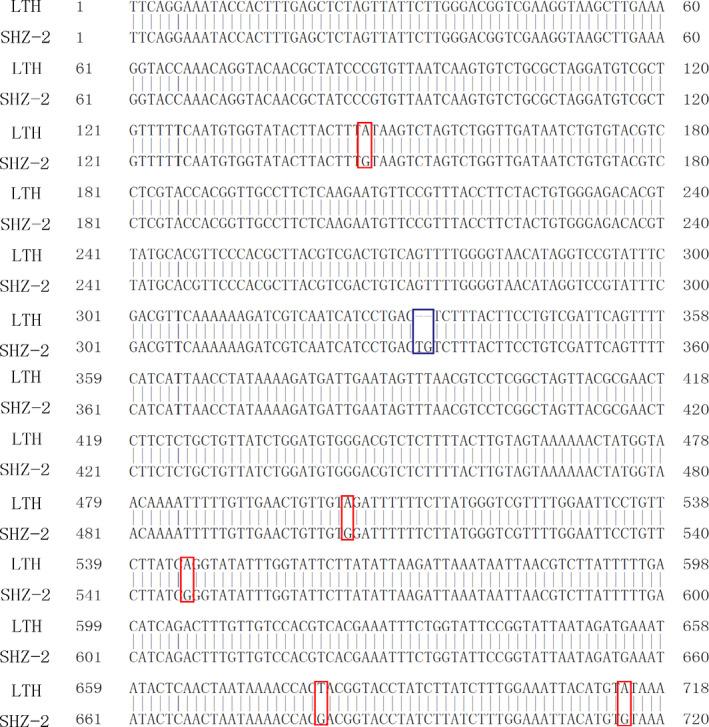 https://cdn.ncbi.nlm.nih.gov/pmc/blobs/ebe2/11388999/cf978634fe04/PBI-15-1141-g005.jpg