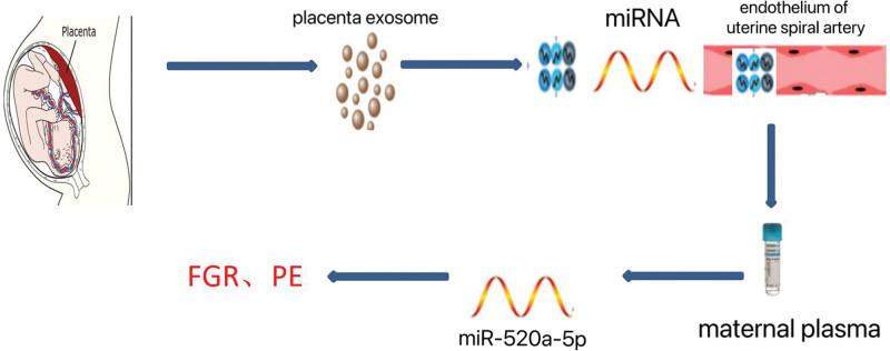https://cdn.ncbi.nlm.nih.gov/pmc/blobs/ebe3/11098175/d71c50e4ceae/medi-103-e38188-g001.jpg