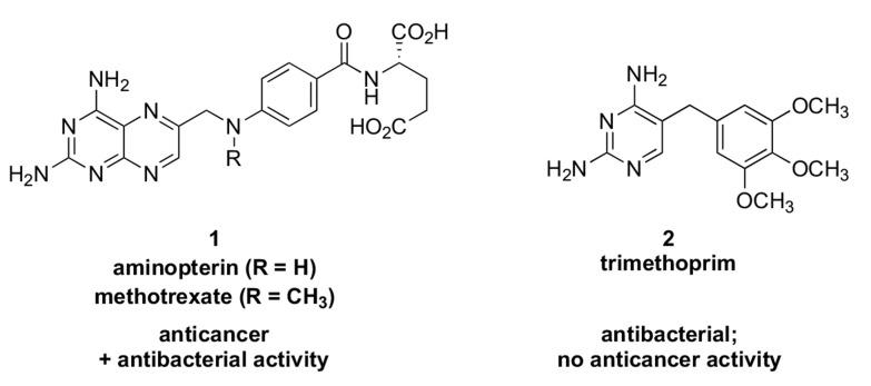 https://cdn.ncbi.nlm.nih.gov/pmc/blobs/ebe3/4997924/76fa12d47d60/CMC-23-520_F1.jpg