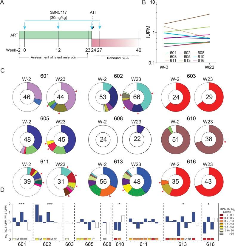 https://cdn.ncbi.nlm.nih.gov/pmc/blobs/ebe5/6122972/7d59436dbab6/JEM_20180936_Fig1.jpg