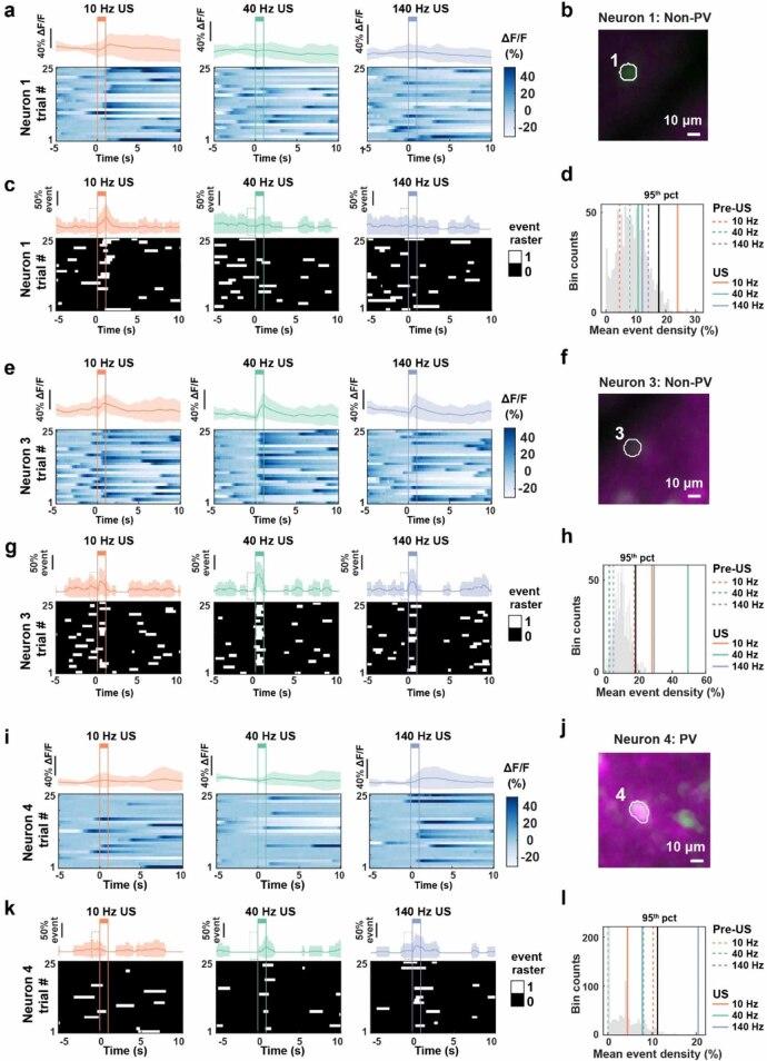 https://cdn.ncbi.nlm.nih.gov/pmc/blobs/ebe7/11381926/cb5ac1f54966/jnead731cf6_hr.jpg