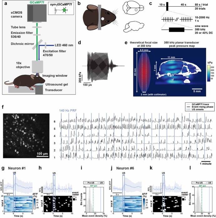 https://cdn.ncbi.nlm.nih.gov/pmc/blobs/ebe7/11381926/d5d9a0b9995a/jnead731cf2_hr.jpg
