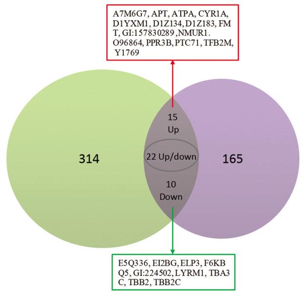 https://cdn.ncbi.nlm.nih.gov/pmc/blobs/ebe7/8665983/1c885762f25b/Cell-J-23-640-g02.jpg