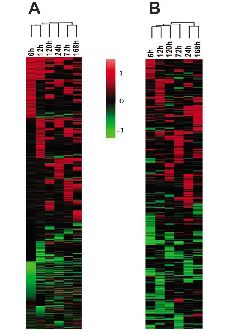 https://cdn.ncbi.nlm.nih.gov/pmc/blobs/ebe7/8665983/8716ca783e5e/Cell-J-23-640-g01.jpg