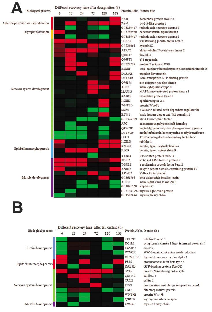 https://cdn.ncbi.nlm.nih.gov/pmc/blobs/ebe7/8665983/ae2897a77f0c/Cell-J-23-640-g04.jpg