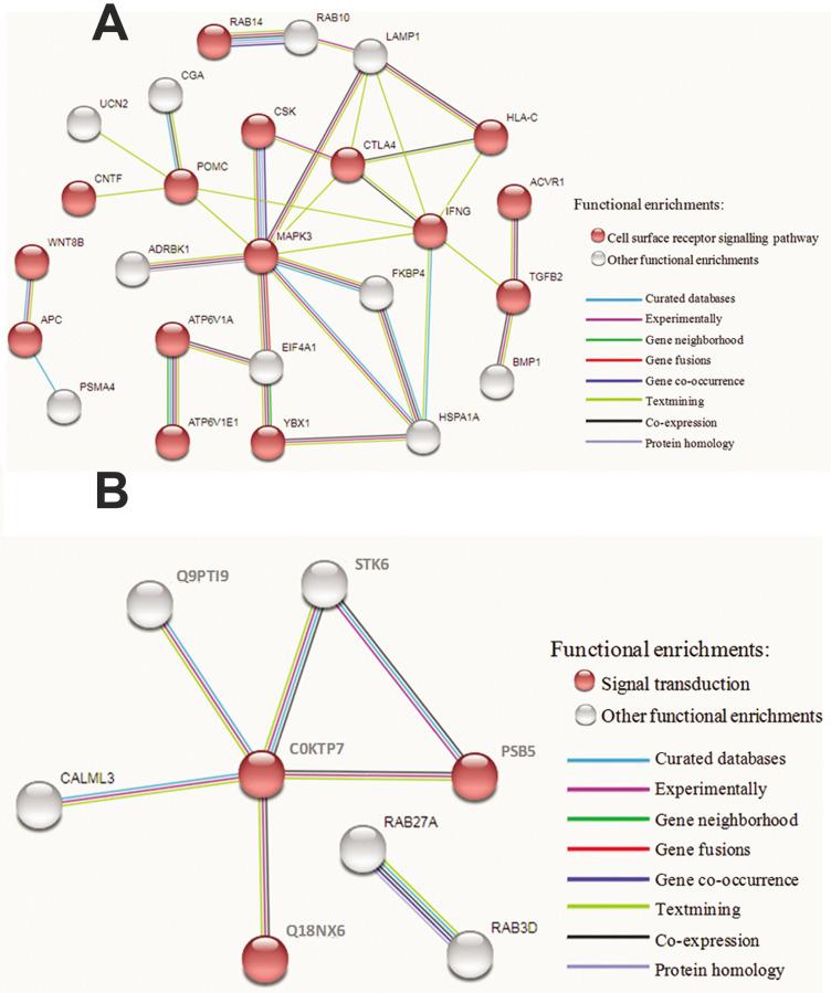 https://cdn.ncbi.nlm.nih.gov/pmc/blobs/ebe7/8665983/b43e75736efd/Cell-J-23-640-g06.jpg