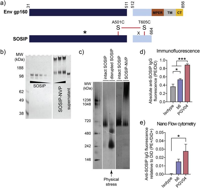 https://cdn.ncbi.nlm.nih.gov/pmc/blobs/ebe8/7749995/6913eb8f39b6/gr4_lrg.jpg