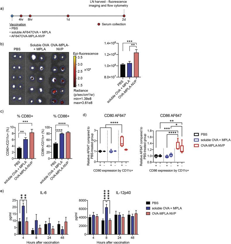 https://cdn.ncbi.nlm.nih.gov/pmc/blobs/ebe8/7749995/a938615a776e/gr3_lrg.jpg