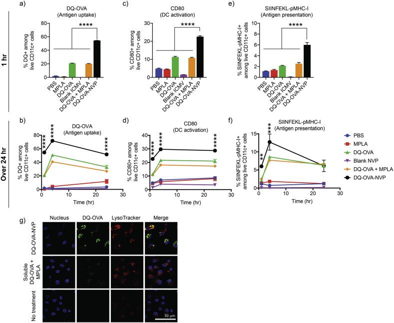 https://cdn.ncbi.nlm.nih.gov/pmc/blobs/ebe8/7749995/cbc752c014d8/gr2_lrg.jpg