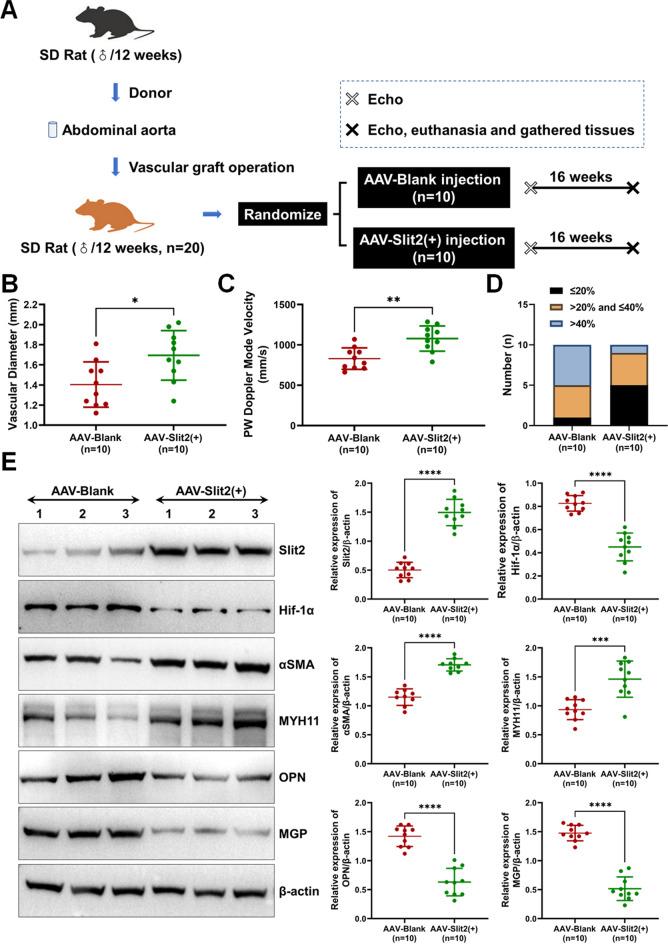 https://cdn.ncbi.nlm.nih.gov/pmc/blobs/ebe9/10615989/4601882c8397/12265_2023_10384_Fig5_HTML.jpg