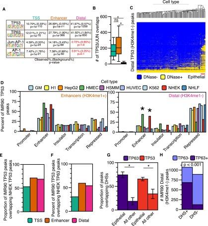 https://cdn.ncbi.nlm.nih.gov/pmc/blobs/ebe9/4315292/59242f2c6e77/179fig5.jpg