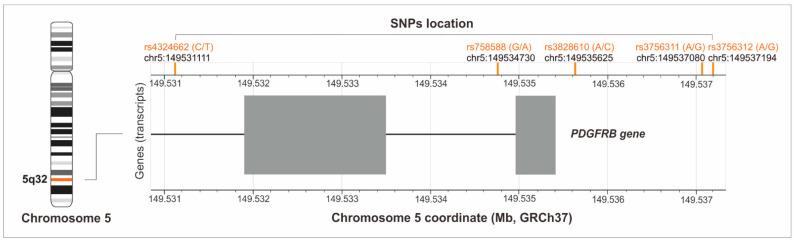 https://cdn.ncbi.nlm.nih.gov/pmc/blobs/ebe9/9657684/5200f5bcfea2/jcm-11-06362-g002.jpg