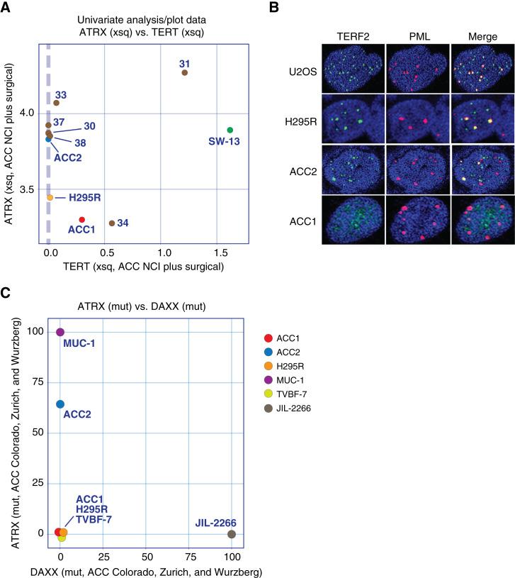 https://cdn.ncbi.nlm.nih.gov/pmc/blobs/ebea/11389377/2019ceb7c7c0/crc-24-0100_f5.jpg