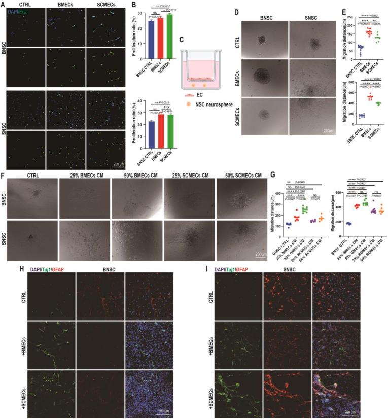 https://cdn.ncbi.nlm.nih.gov/pmc/blobs/ebeb/10444976/28cea404ee9c/gr6.jpg