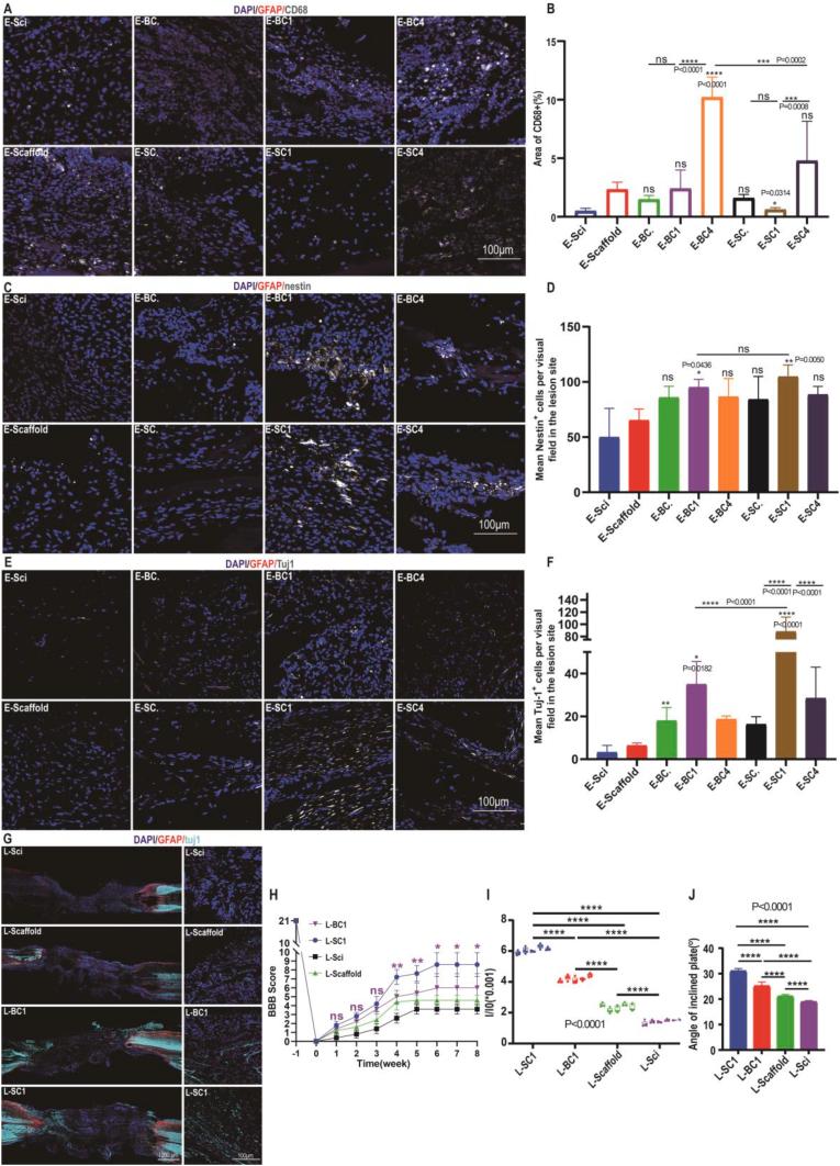 https://cdn.ncbi.nlm.nih.gov/pmc/blobs/ebeb/10444976/8e21fa99fb3d/gr8.jpg