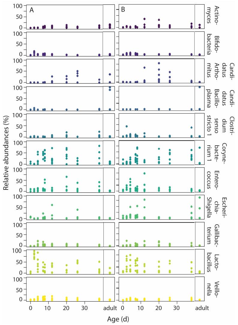 https://cdn.ncbi.nlm.nih.gov/pmc/blobs/ebeb/12194888/ad702313cabb/microorganisms-13-01191-g005.jpg