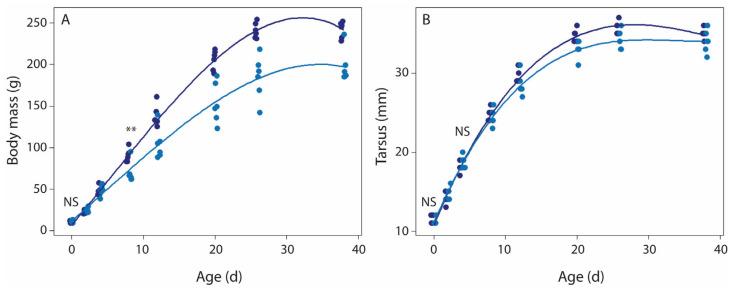 https://cdn.ncbi.nlm.nih.gov/pmc/blobs/ebeb/12194888/ffb450aae461/microorganisms-13-01191-g002.jpg