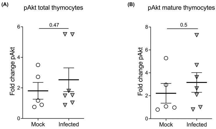 https://cdn.ncbi.nlm.nih.gov/pmc/blobs/ebed/10531245/6c98b6495d9f/ijms-24-13865-g004.jpg