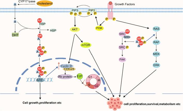 https://cdn.ncbi.nlm.nih.gov/pmc/blobs/ebed/12405098/759a8059ddca/12672_2025_3431_Fig1_HTML.jpg