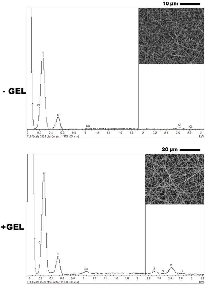 https://cdn.ncbi.nlm.nih.gov/pmc/blobs/ebf0/11279899/ef0b7e7599b9/pharmaceutics-16-00925-g002.jpg