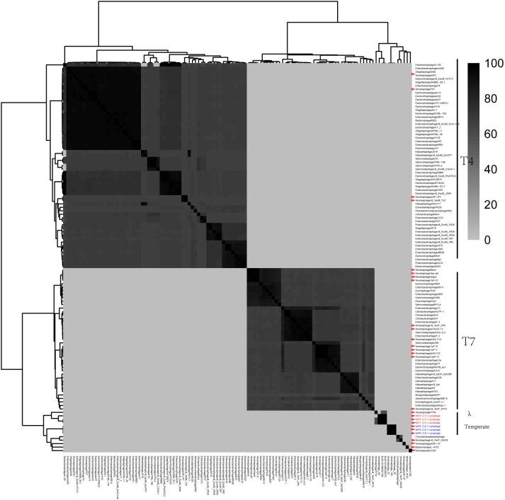 https://cdn.ncbi.nlm.nih.gov/pmc/blobs/ebf2/6548840/b6ea0e1454fc/fmicb-10-01184-g004.jpg