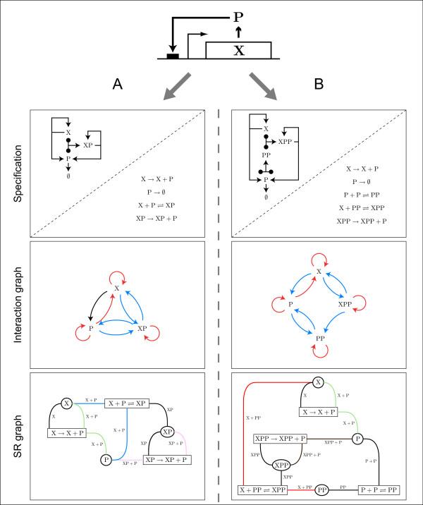 https://cdn.ncbi.nlm.nih.gov/pmc/blobs/ebf4/2759935/0f8eb6a705da/1752-0509-3-96-3.jpg