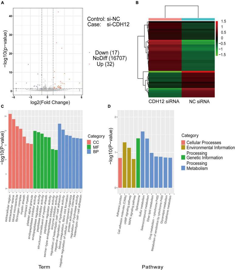 https://cdn.ncbi.nlm.nih.gov/pmc/blobs/ebf4/8606577/55fe5e61c414/fcell-09-768970-g002.jpg