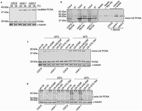 https://cdn.ncbi.nlm.nih.gov/pmc/blobs/ebf6/2799194/a6ea23a8b94c/nihms-159156-f0002.jpg