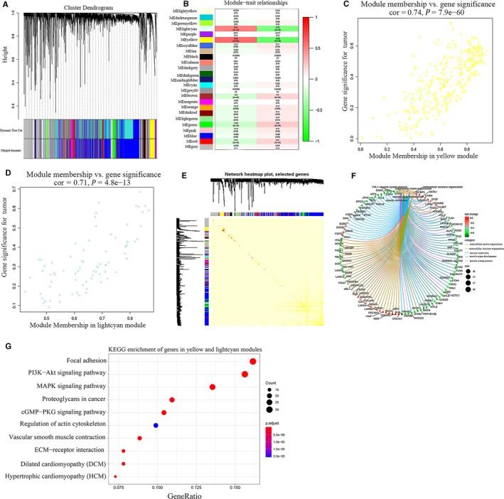 https://cdn.ncbi.nlm.nih.gov/pmc/blobs/ebf7/7205833/8e347dbc2f54/JCMM-24-5375-g003.jpg
