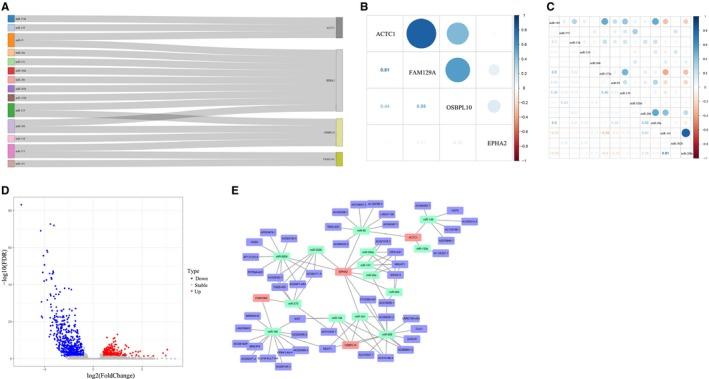 https://cdn.ncbi.nlm.nih.gov/pmc/blobs/ebf7/7205833/b2432c40162a/JCMM-24-5375-g008.jpg