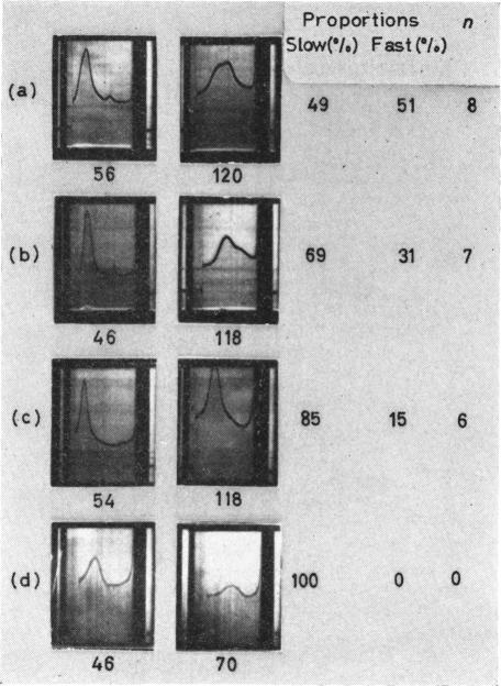 https://cdn.ncbi.nlm.nih.gov/pmc/blobs/ebf8/1423538/9291621ec34a/immunology00437-0010-a.jpg