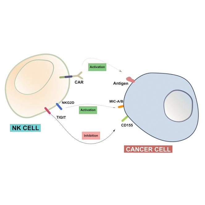 https://cdn.ncbi.nlm.nih.gov/pmc/blobs/ebf8/9676278/ec1c3fbe01dc/fx1.jpg