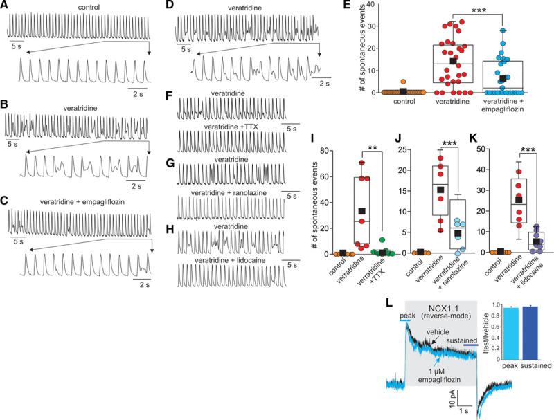 https://cdn.ncbi.nlm.nih.gov/pmc/blobs/ebf9/8154177/e4b1bcb8bd79/cir-143-2188-g006.jpg