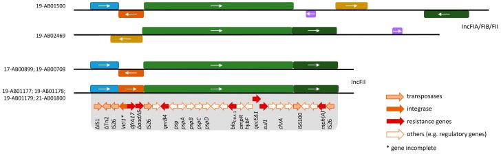 https://cdn.ncbi.nlm.nih.gov/pmc/blobs/ebfb/10975689/ffcf1f0d810a/microorganisms-12-00632-g002.jpg