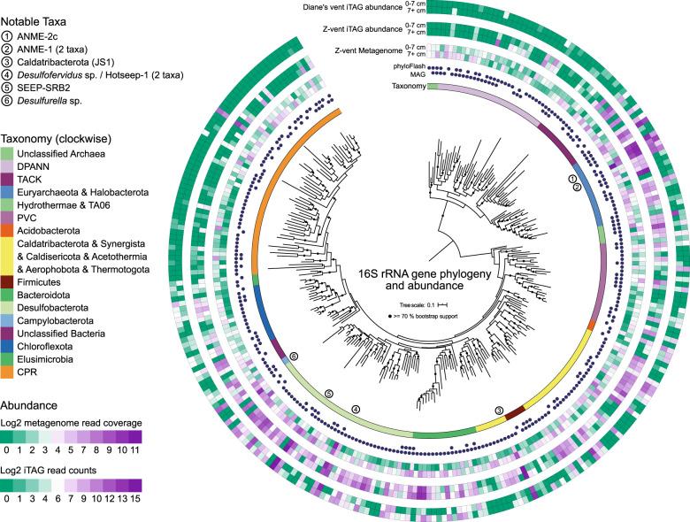 https://cdn.ncbi.nlm.nih.gov/pmc/blobs/ebfb/9213671/2f8a23679fd3/41396_2022_1222_Fig3_HTML.jpg