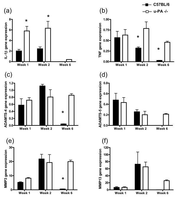 https://cdn.ncbi.nlm.nih.gov/pmc/blobs/ebfd/2991036/807ce8de8147/ar3171-5.jpg