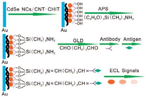 https://cdn.ncbi.nlm.nih.gov/pmc/blobs/ebfd/3280770/24165d6a927d/sensors-09-00674f7.jpg