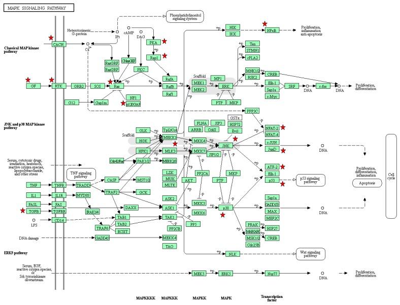 https://cdn.ncbi.nlm.nih.gov/pmc/blobs/ebfd/6210393/044036422fa5/genes-09-00478-g007.jpg
