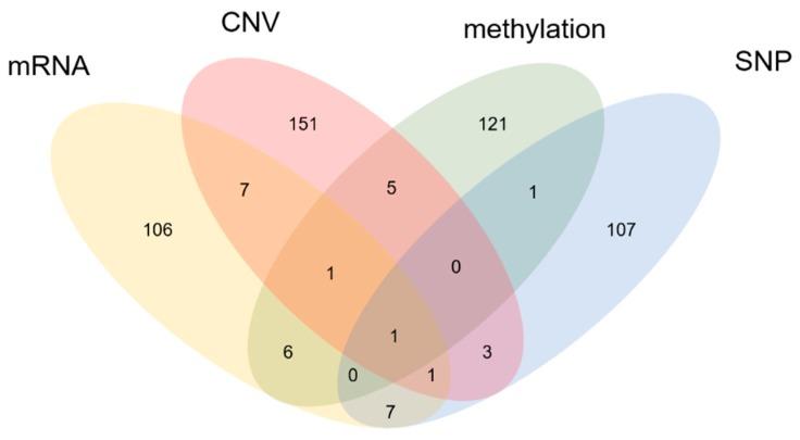 https://cdn.ncbi.nlm.nih.gov/pmc/blobs/ebfd/6210393/aaa383b032cb/genes-09-00478-g003.jpg