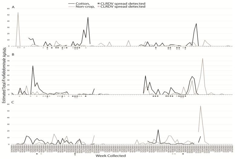 https://cdn.ncbi.nlm.nih.gov/pmc/blobs/ebff/10380835/704f6e092211/insects-14-00604-g003.jpg